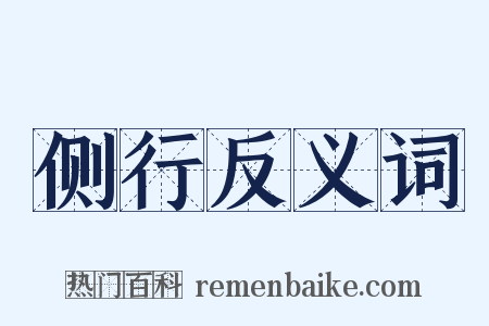 侧行反义词是什么意思的图片